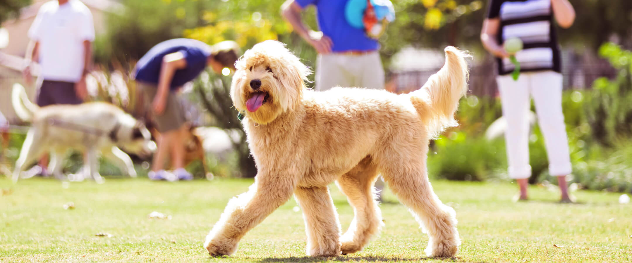 Waterford Landing Apartments in Moon Township, PA